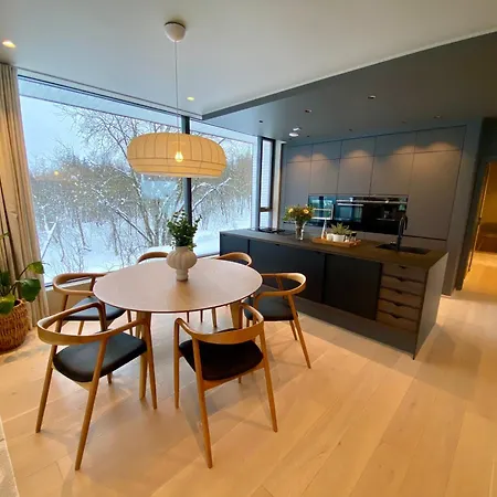 House With Panoramic View 特罗姆瑟