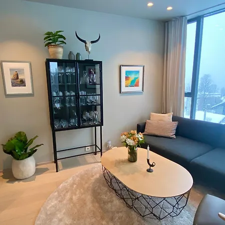 House With Panoramic View * 特罗姆瑟